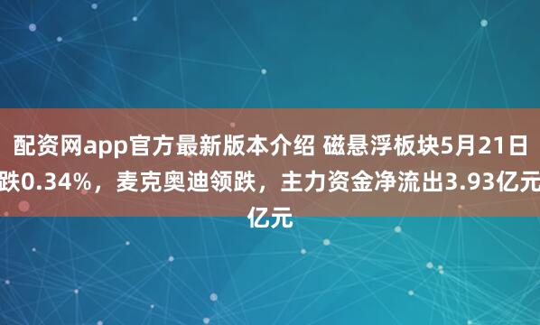 配资网app官方最新版本介绍 磁悬浮板块5月21日跌0.34%，麦克奥迪领跌，主力资金净流出3.93亿元